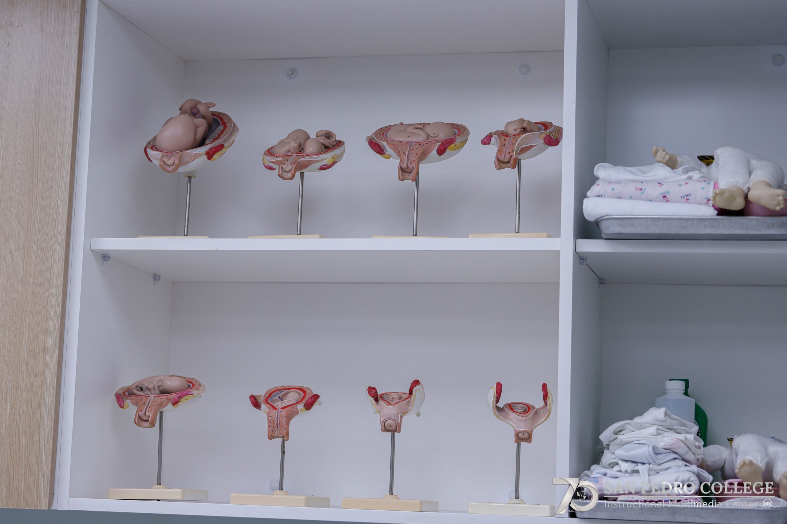 NS LAB 3 - 7